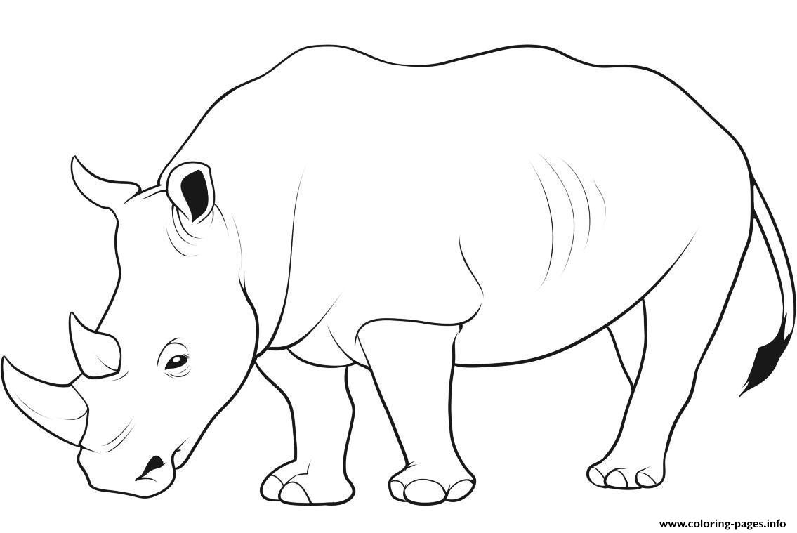 Kids Free Animal S Rhino7424 coloring