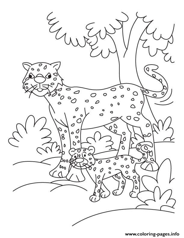 Cheetah Coloring Sheets For Kids98df coloring