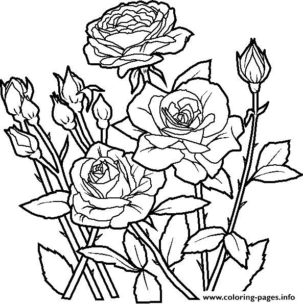 Cool Flower S For Kids83fb coloring