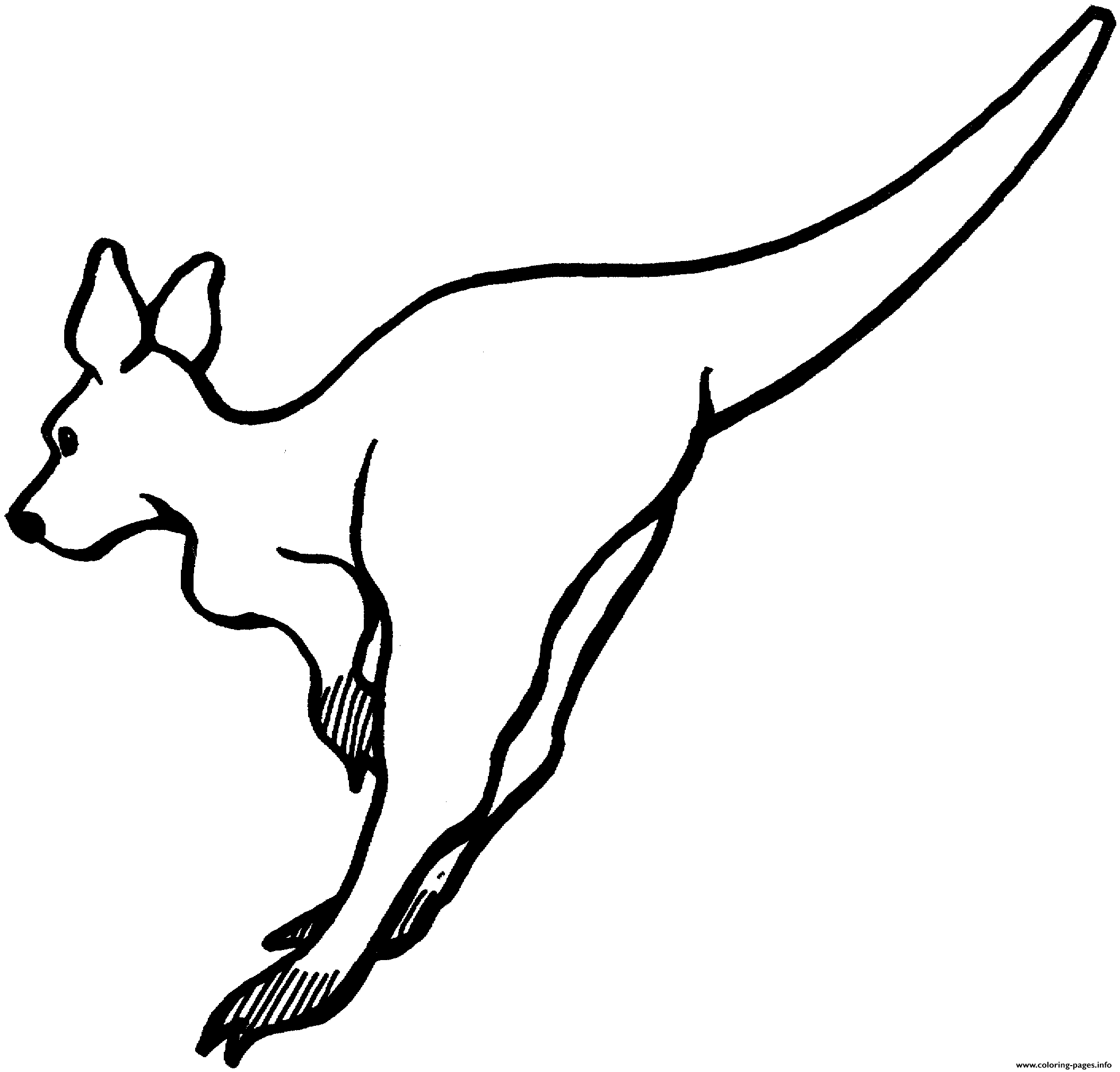 Animal S For Kids Kangaroo4753 coloring