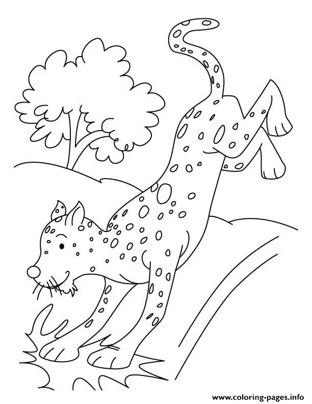 Cheetah S For Kids795c coloring