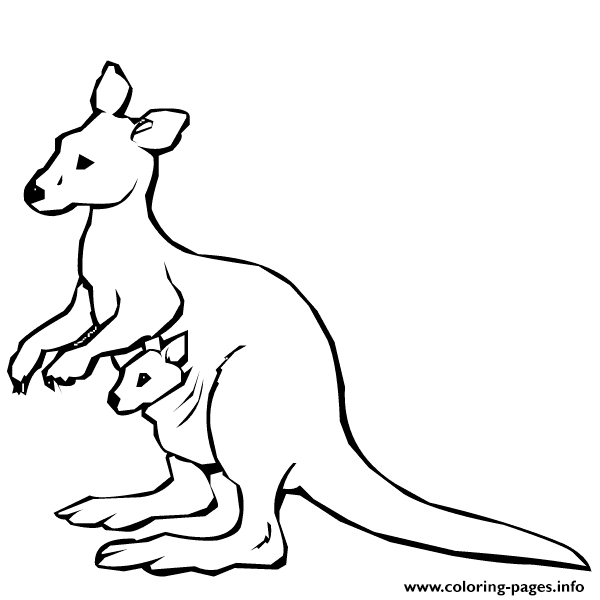 Coloring Pages For Kids Kangaroo Animal25c0 coloring