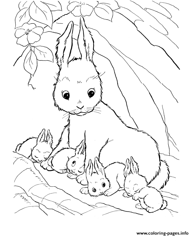 Coloring Pages For Kids Rabbit And Her Babies973e coloring