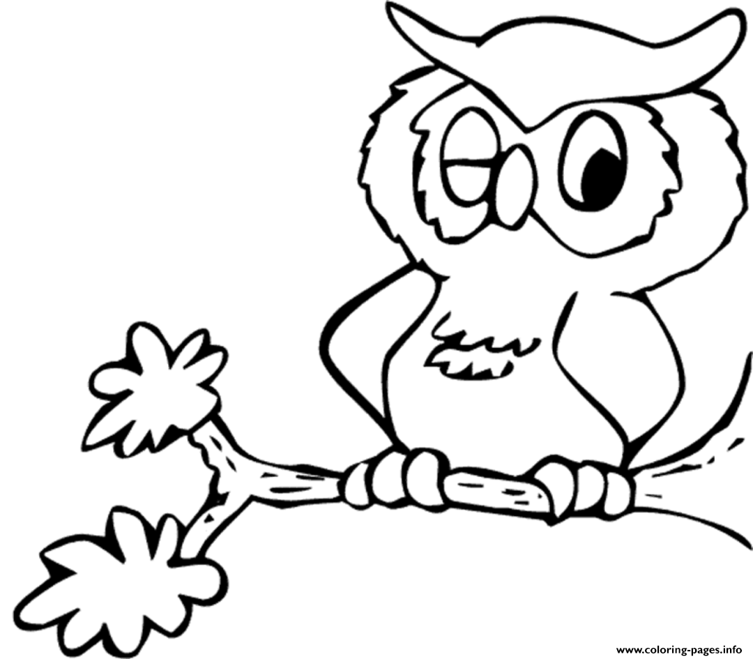 Kids Owl S For Free7a9d coloring