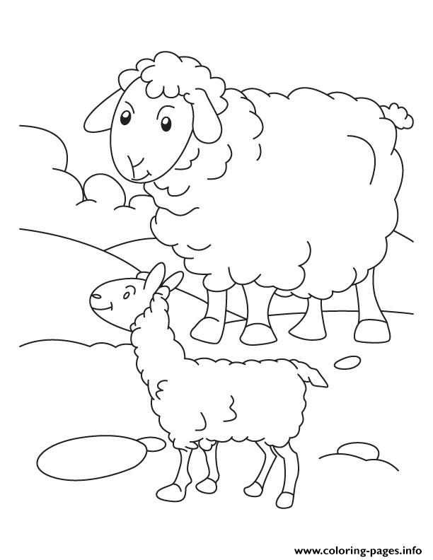 Sheep  For Kidscb5e coloring