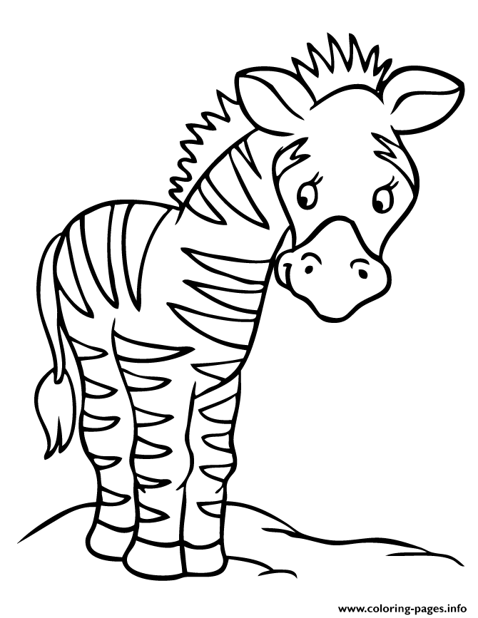Kids Preschool S Zebra9828 coloring
