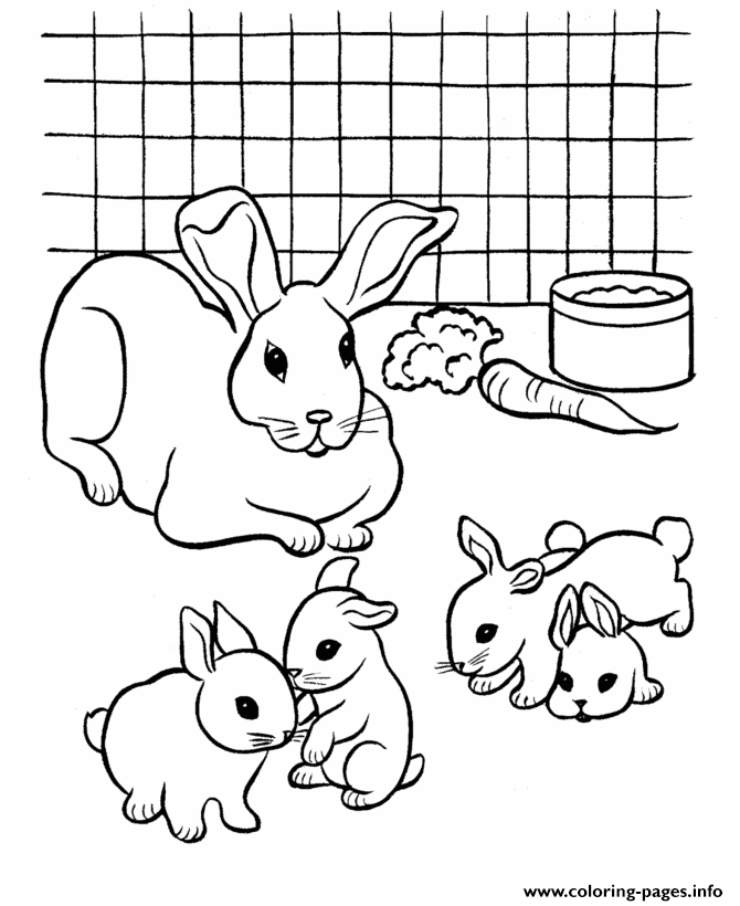Coloring Pages For Kids Rabbit And Babiesc19d coloring