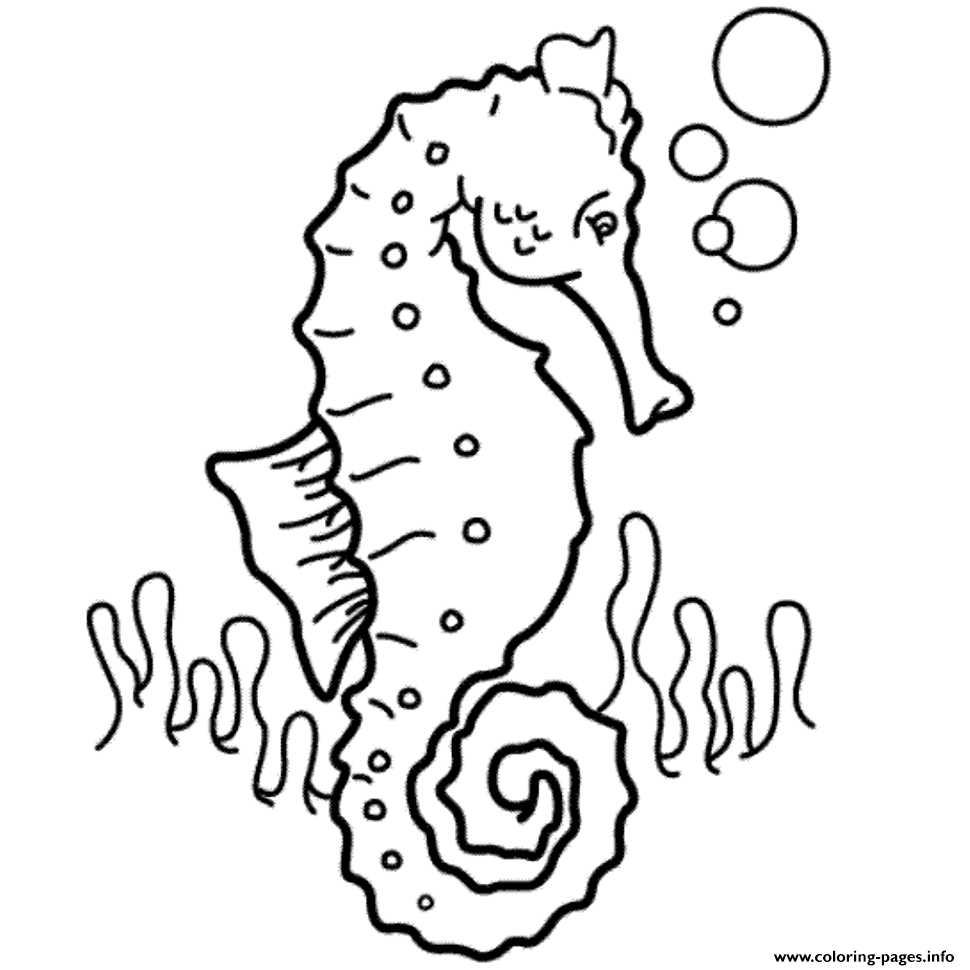 Seahorse  For Kids08a0 coloring