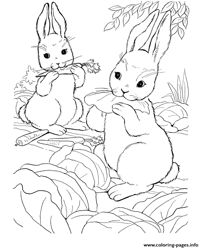 Coloring Pages For Kids Rabbit Eating Carrot3a81 coloring