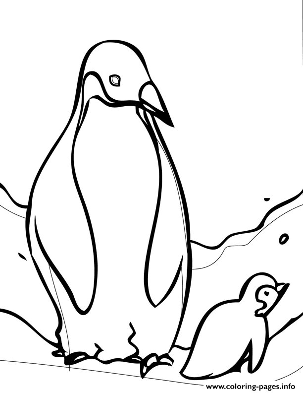 Coloring Pages For Kids Penguin Animals5716 coloring