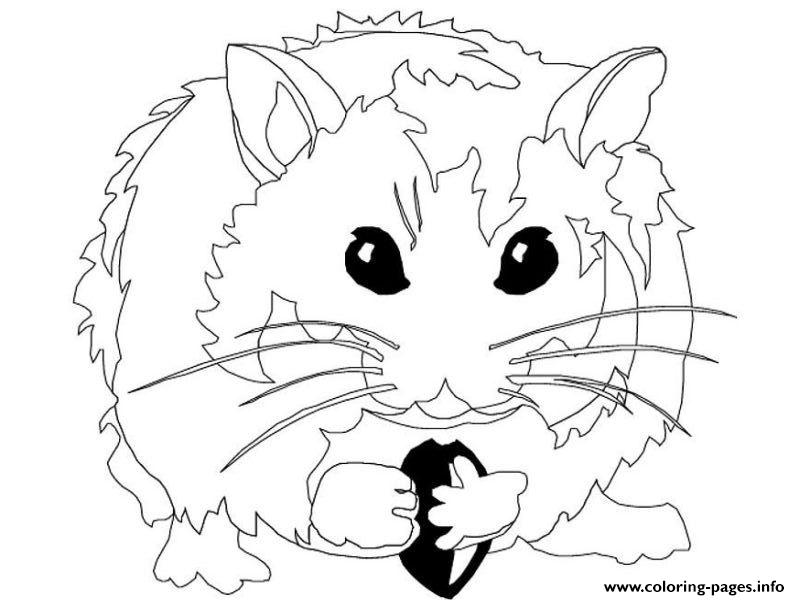 Hamster S For Kidsd82e coloring
