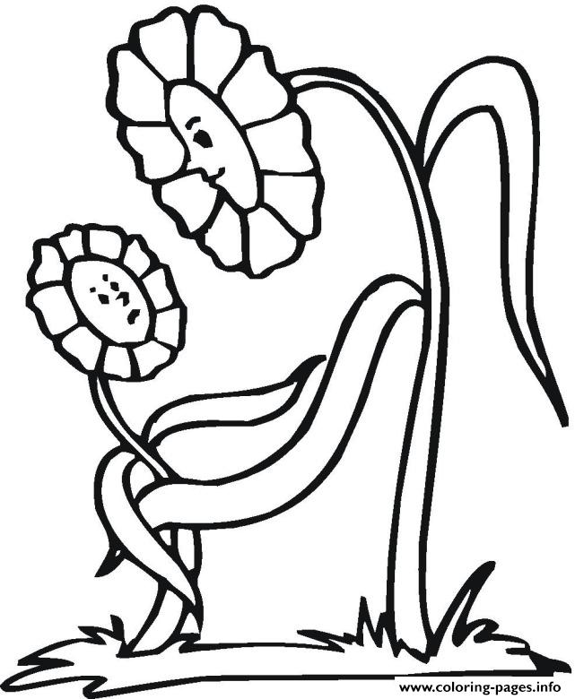 Educational Flower Colouring Pages Kids8d37 coloring