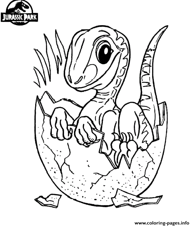Jurassic Park Dinosaur 24 coloring
