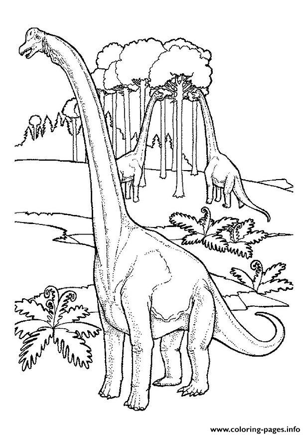 Dinosaur 17 coloring