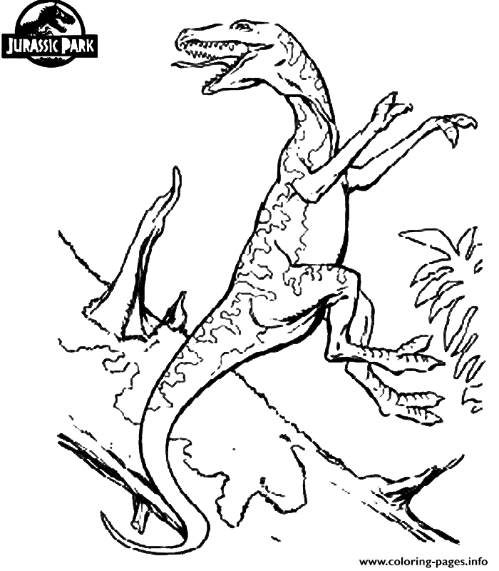 Dinosaur 170 coloring