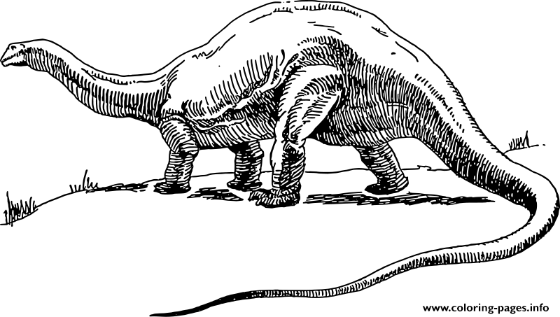 Dinosaur 268 coloring