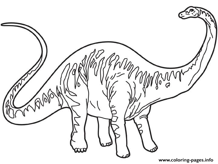 Dinosaur 333 coloring