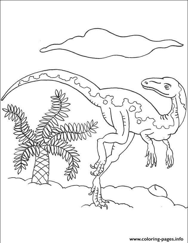 Dinosaur 75 coloring