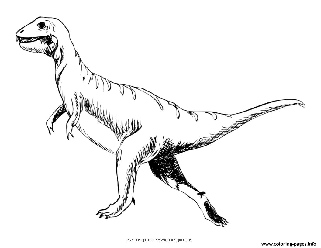 Dinosaur 300 coloring