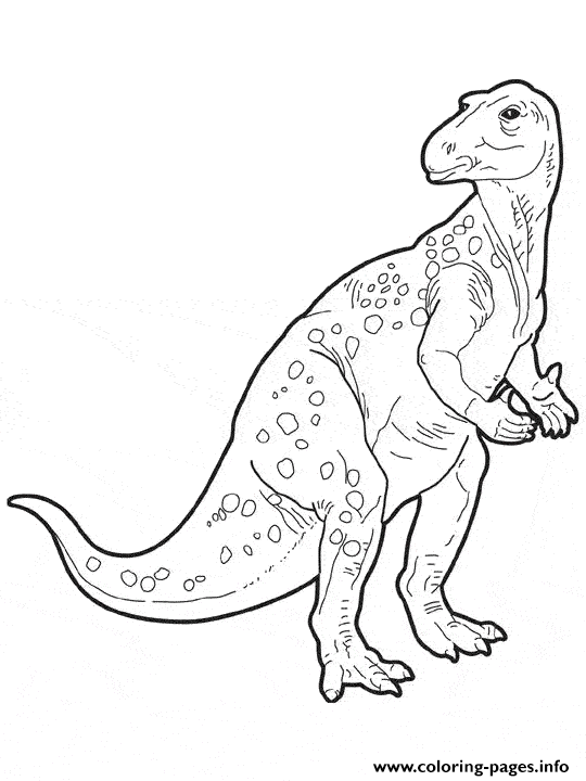 Dinosaur 143 coloring