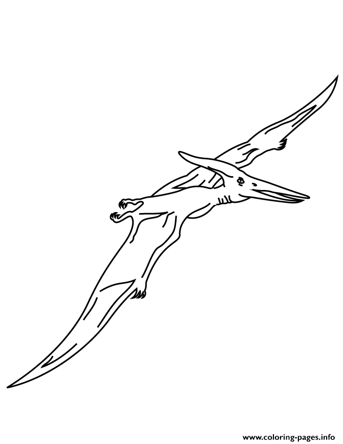 Pterodactyl Flying Dinosaur Coloring Pages Printable