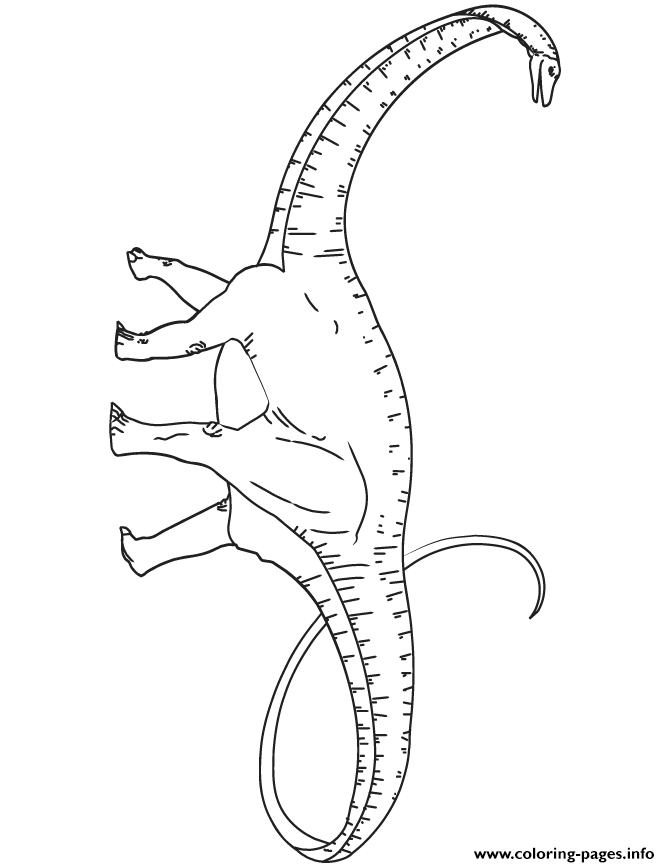 Apatosaurus Dinosaur coloring