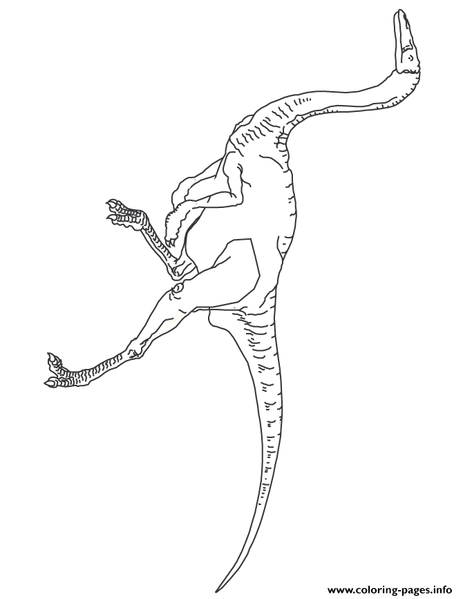 Gallimimus Dinosaur coloring