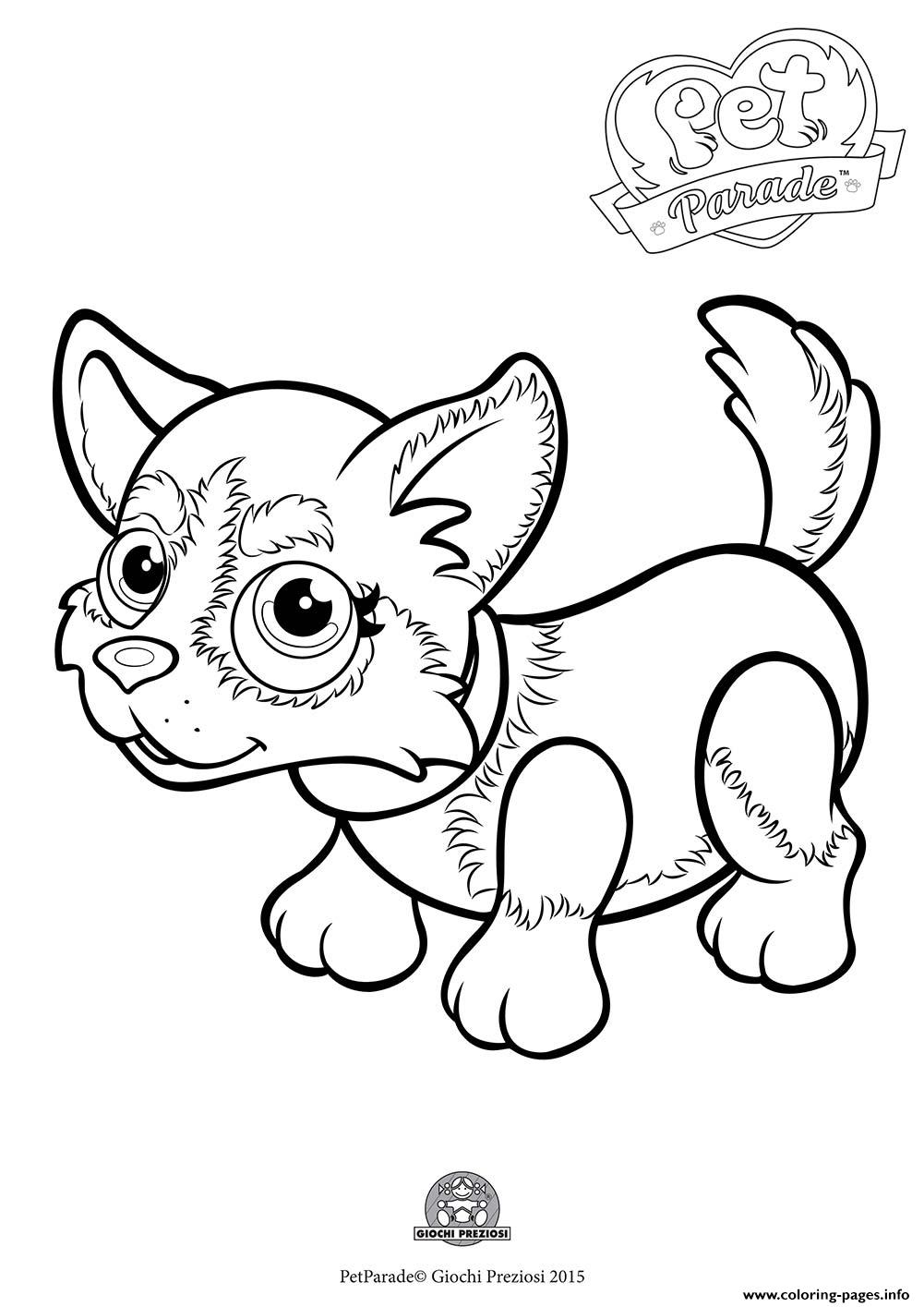 pet parade cute dog husky printable coloring pages book