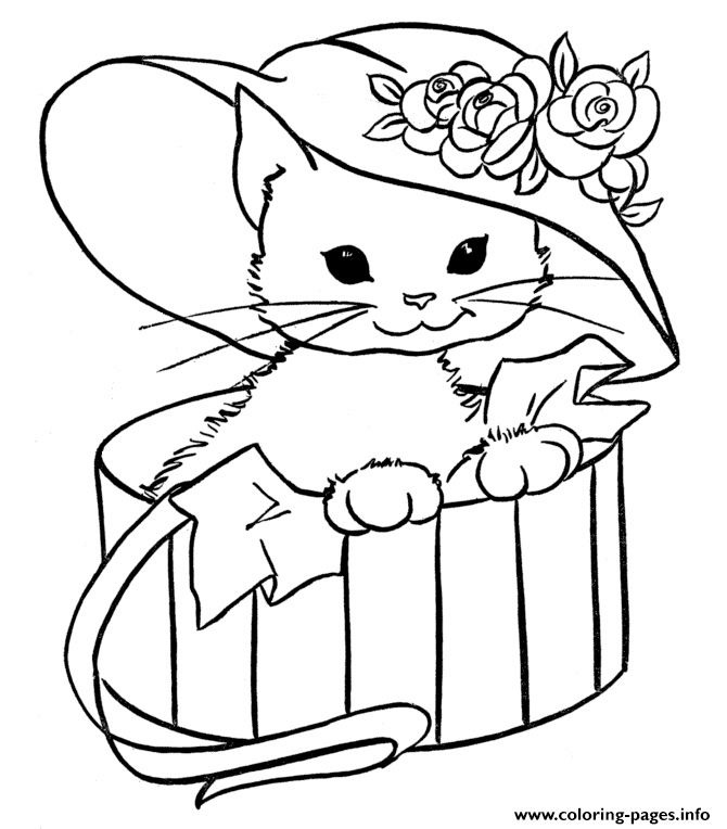 600 Top Cat Kitten Coloring Pages For Free