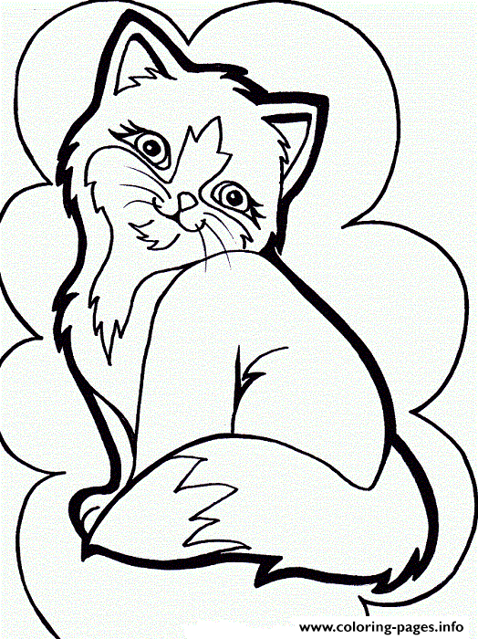 Shy Female Cat Kitten5749 Coloring Pages Printable
