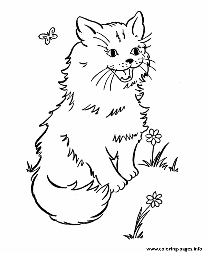 Cat In A Garden Animal Sf4e8 coloring