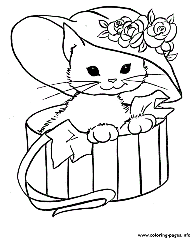 Cat With Hat In A Box Animal Sb74e coloring