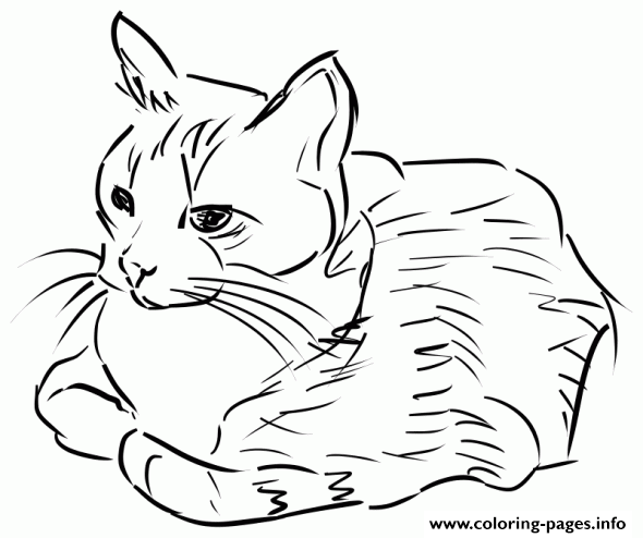 Calm Cat Sitting A1ec coloring