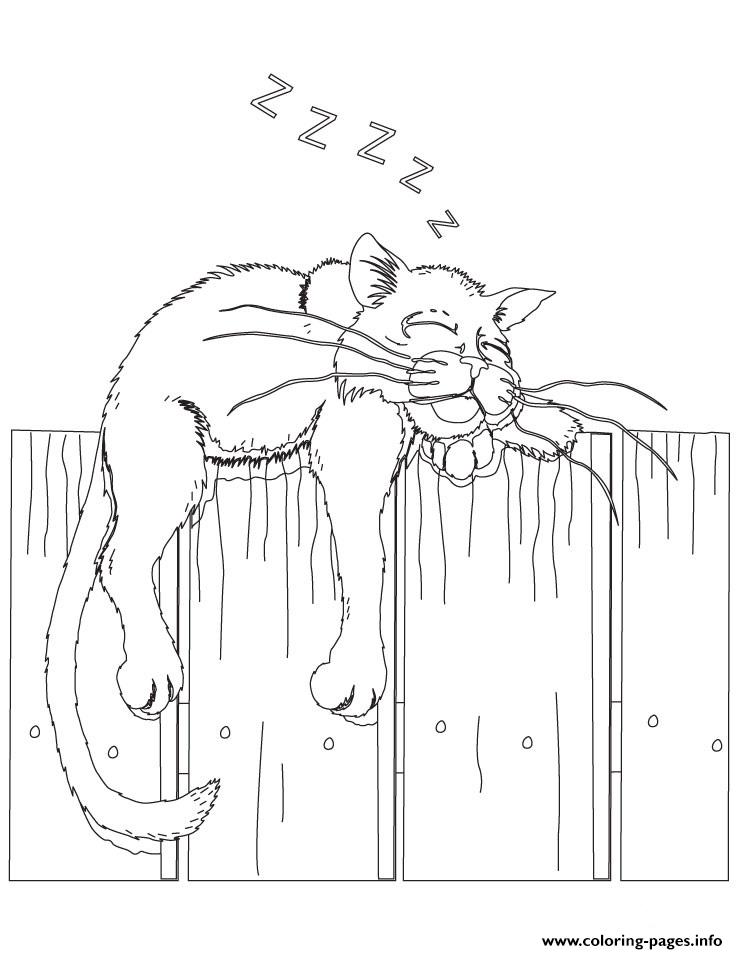 Cat On A Fence 9809 coloring