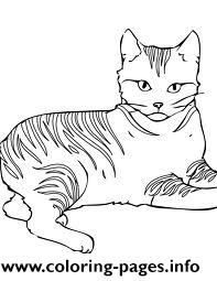 Sharp Eyed Cat Kittenc520 coloring
