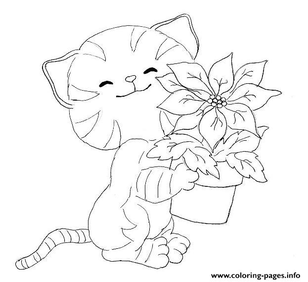 Cat With Small Plant Animal S6bc6 coloring