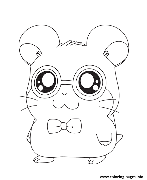 Hamtaro S For Girls Animals5568 coloring