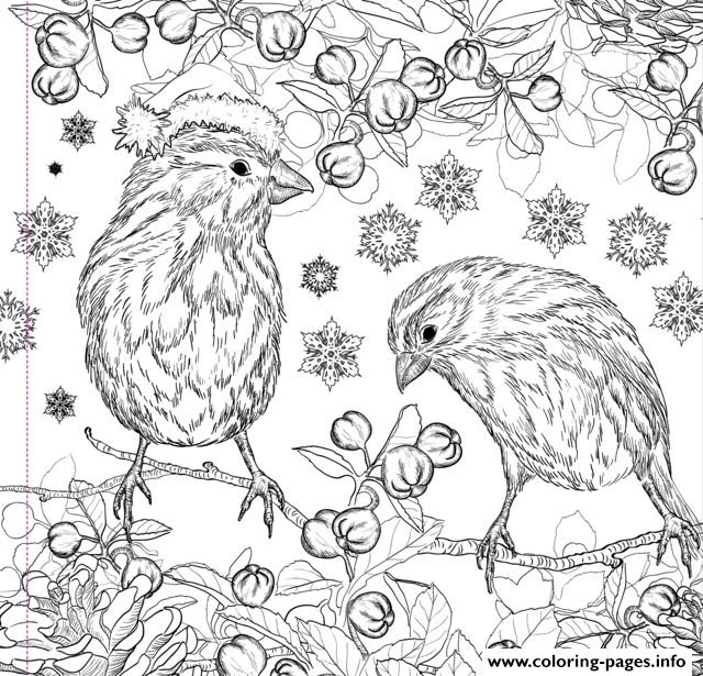 Christmas Design Adult coloring