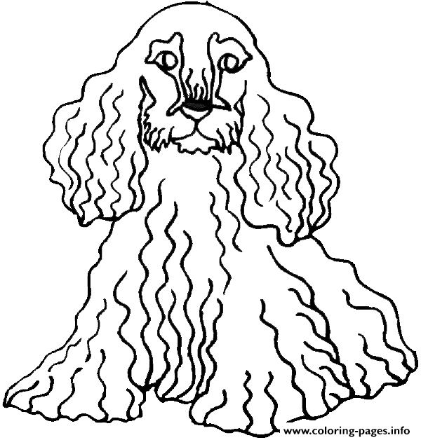 Long Curly Hair Dog Af02 coloring