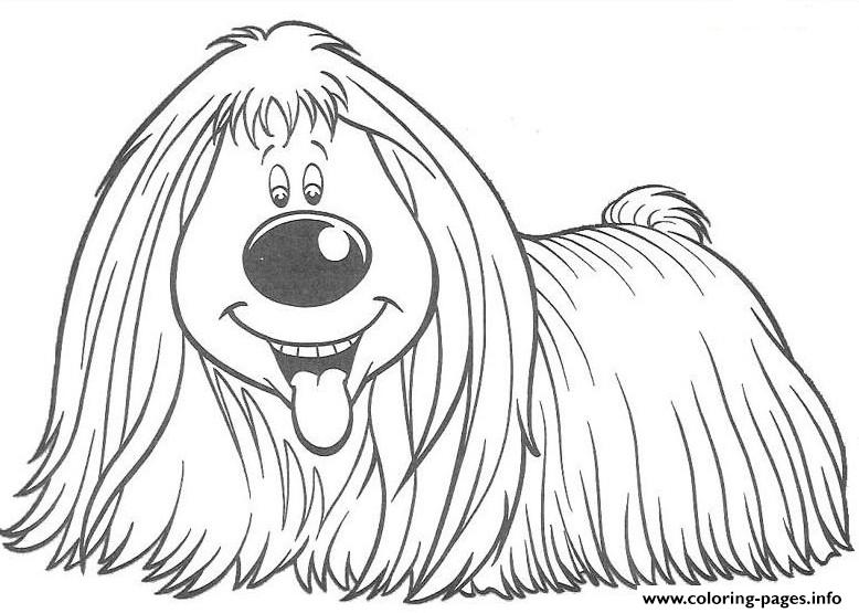 Long Haired Dog  E144938749445347ae coloring