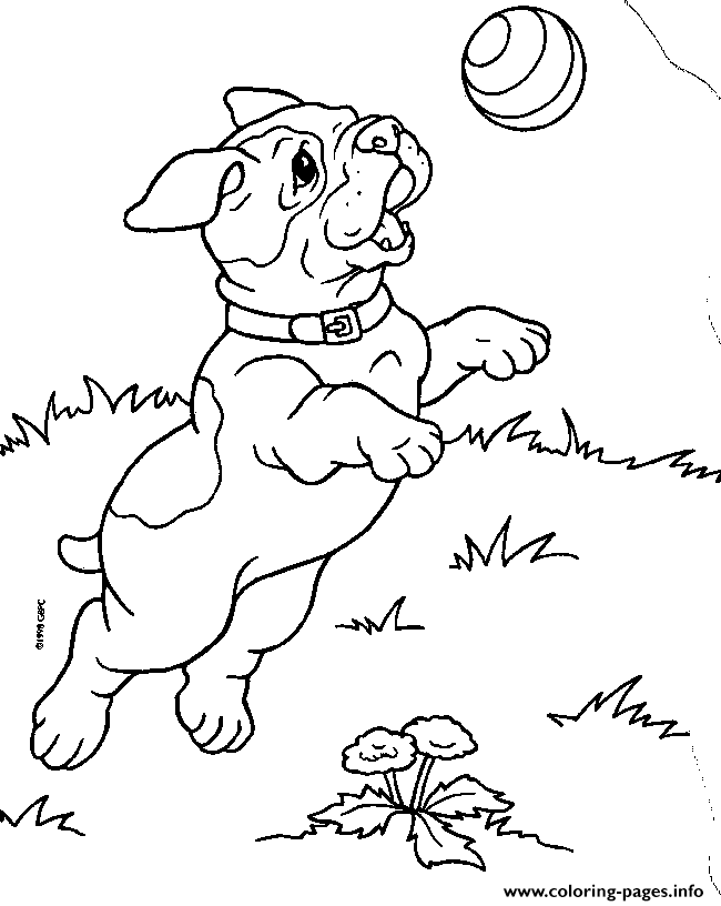 Dog Chasing Ball 713f coloring