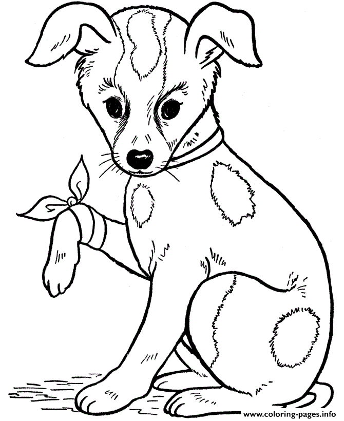 Wounded Dog0047 coloring
