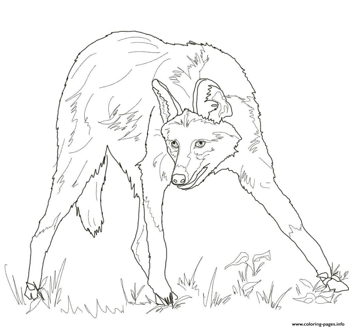 Maned Wolf coloring