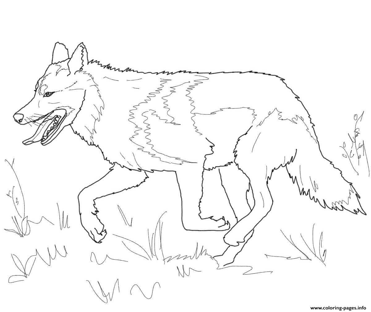running mexican grey wolf coloring pages printable