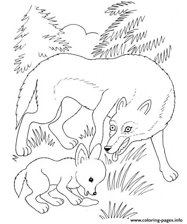 Wolf Mother And Wolf Cub coloring