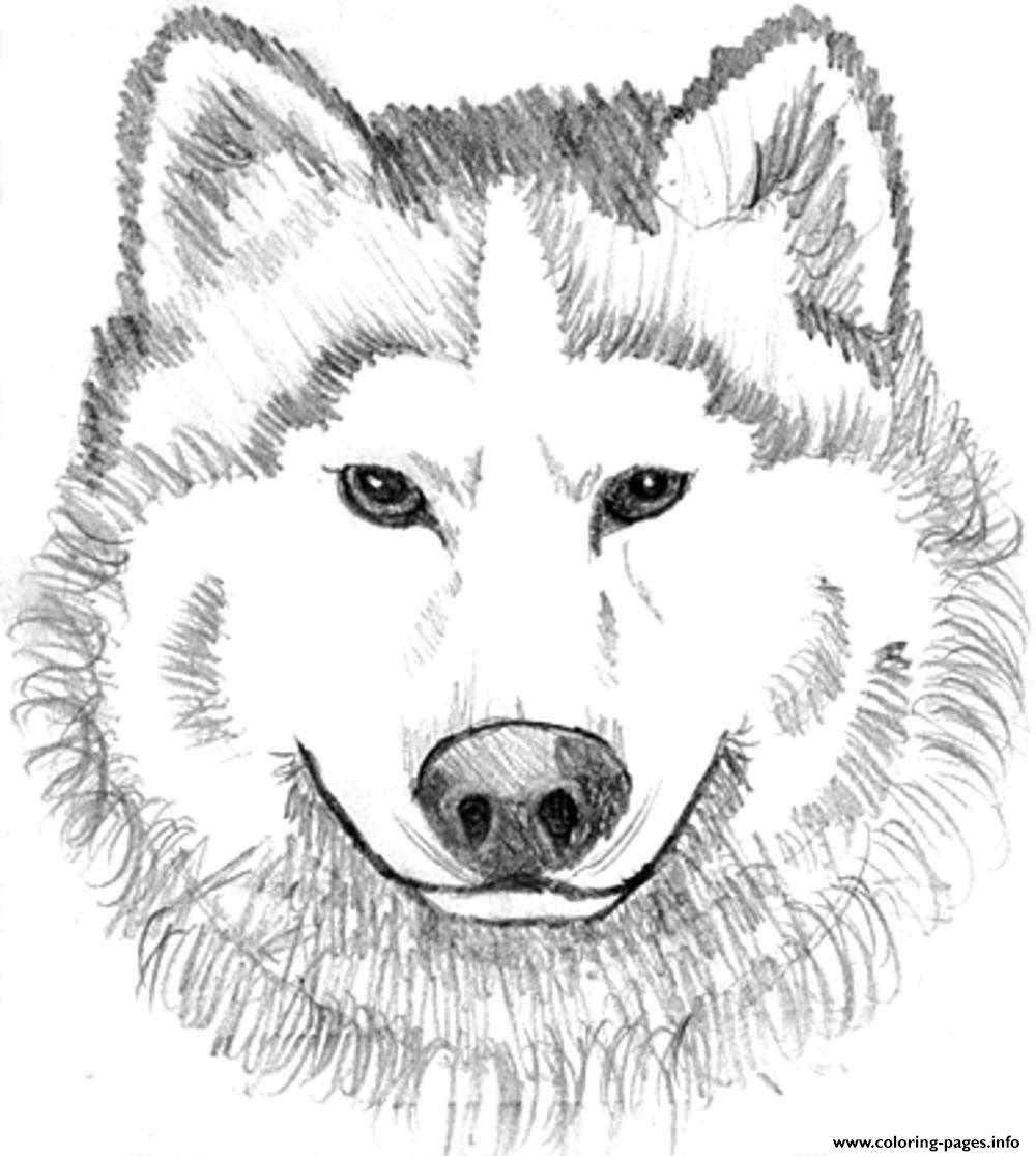 Realistic Wolf Face Coloring page Printable