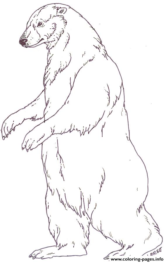 Mural Tsb Polar Mother Bear By Jan Brett coloring