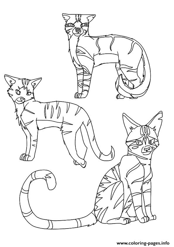 A Warrior Cat Clan A4 Coloring page Printable