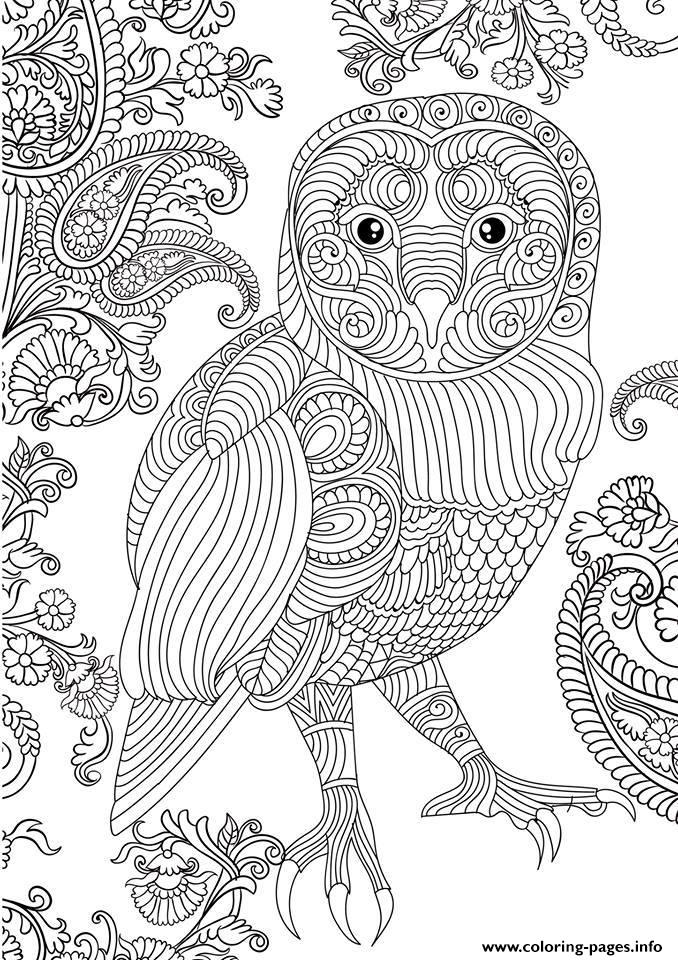 Owl Beautiful Adult Difficile coloring