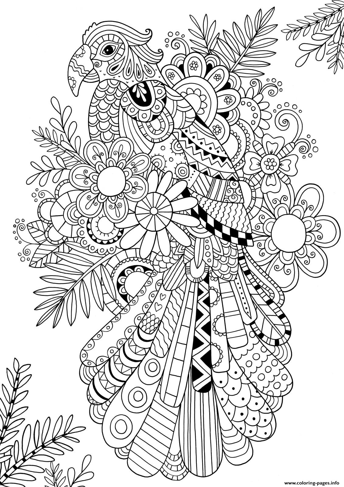 Zentangle Parrot Adult Coloring Pages Printable